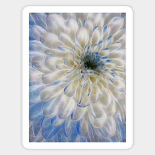 closeup macro photography of white and blue coloured dahlia bloom Sticker